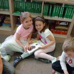 phoca_thumb_m_knihovna 12 Fotogalerie
